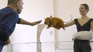 Puppets in The Sleeping Beauty 🤗 We are so lucky to have Puppet Designer Basil Twist on our Sleeping Beauty Creative Team. He has added a further dimension of delight with his unique designs for Carabosse’s nest of mice and the Ogre in pursuit of Hop o’ My Thumb and his brothers. The puppets were built locally by ANDOR STUDIO in Seattle, WA. 💚 See these puppets onstage before the production closes on February 9th. Tonight and Sunday evening have the best availability! Get tickets >> https://bi