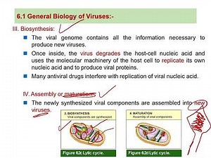 lecture 6 of bio 110