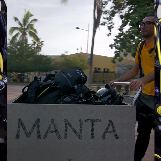 2.7K reactions · 245 shares | Venture into the enchanting realm of...