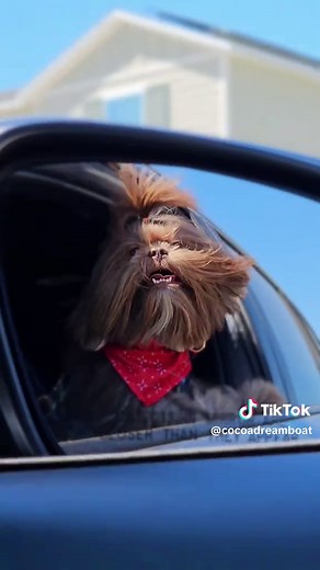 George Cowboy on TikTok