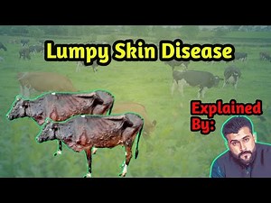 Lumpy Skin Disease explained by Tariq Pathan