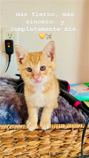 Isis Sanchez Garcia on Reels