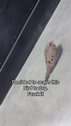 They can’t be real #😭