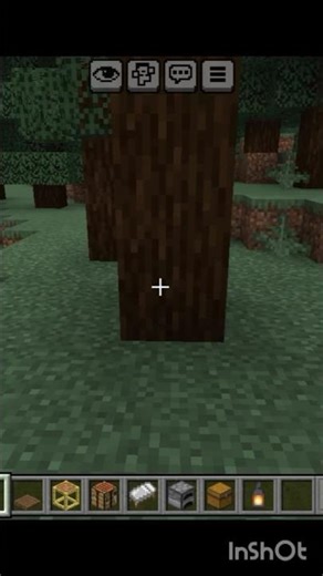 fastest bild in Minecraft #minecraft