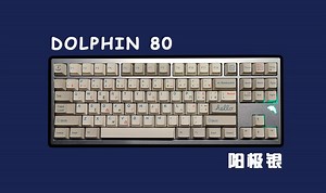 499元还送轴的Donlpin 80香爆！沉浸式组装以及打字音！