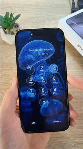 Forgot your iPhone password? Fix it now.