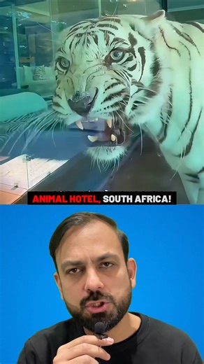 Would you stay the night in this hotel? #shorts