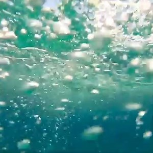 Producing more with less while also looking after our planet may seem like a tall order, but it's possible! In #Aquaponics, water serves a dual purpose: 🌾 crop cultivation 🐟 fish production Learn more about this practice 👉http://bit.ly/2WaN3FX | Food and Agriculture Organization of the United Nations (FAO)