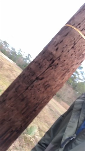 Screamin eagle outdoors on TikTok