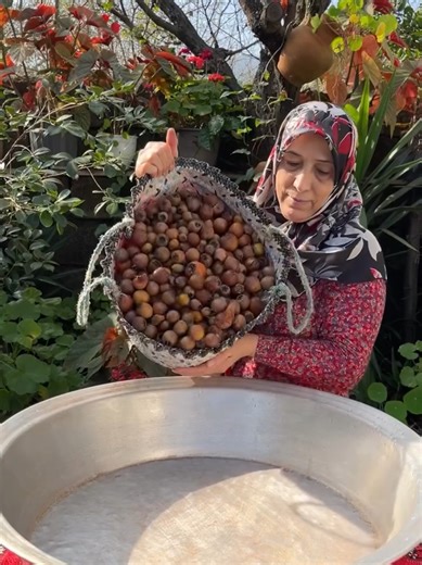 Understanding the United States: A Comprehensive Overview