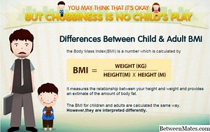 BMI和体脂肪 - 饮食与健身 2026