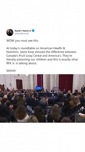 David Harris Jr | MAHA! 👉 And we just launched a health and wellness MLM to help you get in shape and create income 👉 Comment “More Info” to find out about... | Instagram