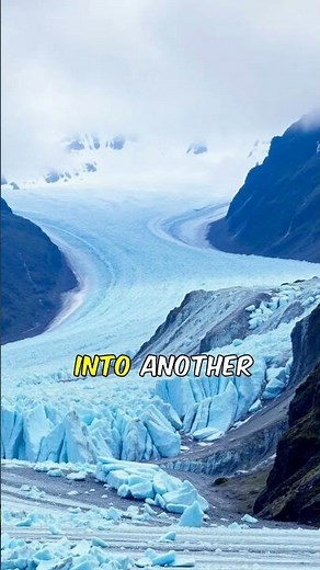 Exploring New Zealand's Natural WONDERS!