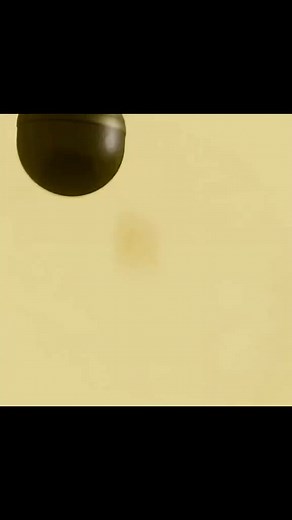 Surviving Venus in the 1970s #fpy #foyou #hystory #historytime #exploring | Twistedtruthkodhia