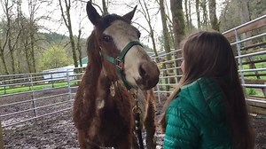 6K views · 217 reactions | This is by far one of the cutest things...