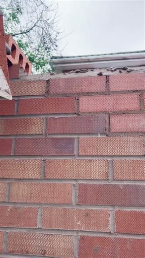 #bricklaying #skills #bricks #line #wall #construction #building #uk #eu #foryoupage #foryou #4u #fypシ #howt | Home Interior Idea