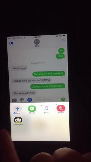 How to delete iMessage app Game Pigeon on iOS