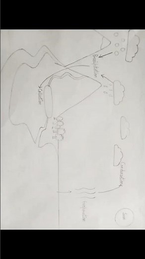 Diagram of Water cycle | Drawing Water Cycle