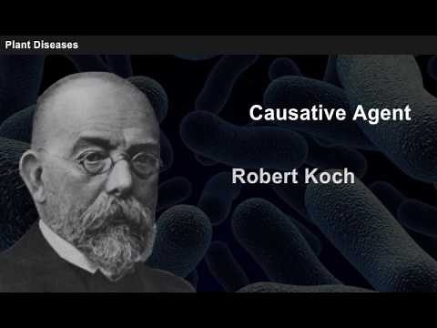 Terms and Concepts in Plant Pathology [Year-1]