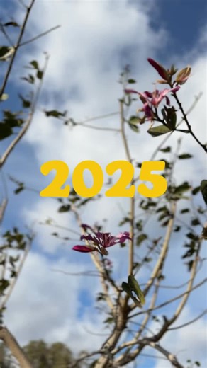 2025 wrapped. Backyards built. Memories made. From patio plans to full-blown transformations, this year was about more than just upgrades, it was about creating spaces that feel like home. Thanks for letting us be part of your story. Same crew, same quality…see you in 2026. Let’s build yours next. 📱 (714) 474-3421 💻 SaddlebackPavers.com 💬 @SaddlebackPavers | Saddleback Pavers