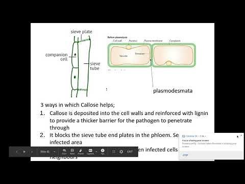 4.1.1. Communicable diseases c) Plant defences against pathogens