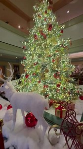 Let’s visit The Windsor Court Hotel to see their Christmas decorations! 💚❤️ More views of the hotel in comments… #neworleans #nola #christmasdecor #nolalove #happyholidays | Heather Elizabeth Designs New Orleans Jewelry & Accessories