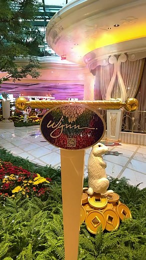 wynnlasvegas on TikTok