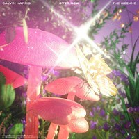 Over Now by Calvin Harris and The Weeknd on WhoSampled
