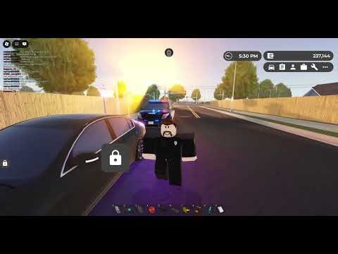 Metro Police Patrol Roblox