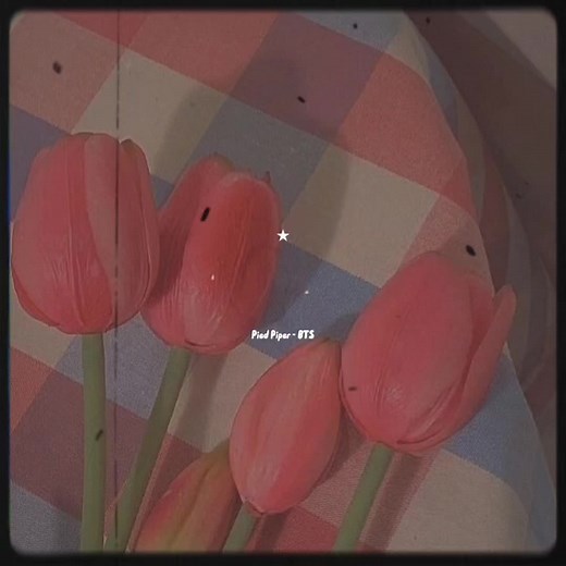 pied piper - BTS . . . .💗. . . . .#paratiiiiiiiiiiiiiiiiiiiiiiiiiiiiiii #music #armybts #bts #kpopers #piedpiperbts #paratiiiiiiiiiiiiiiiiiiiiiiiiiiiiiii #letras