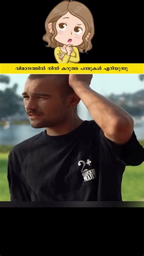 വിമാനത്തിൽ നിന്ന് കറുത്ത പന്തുകൾ എറിയുന്നു #shorts