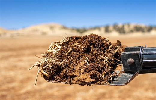 Large cropping paddock at Hoyleton for auction