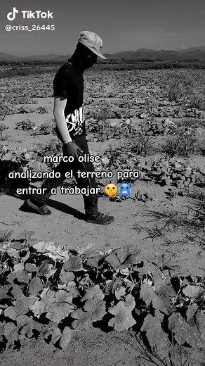 Análisis de Marco Olise para jugar