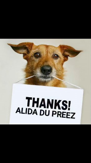 Today we would like to say a very big thank you to a very special lady, Alida du Preez. Alida has been a huge supporter of Animal Welfare Helderberg for decades! Whether it's food donations, monetary donations, Santa shoe boxes, grocery hampers, making dog jerseys, baking scones for the staff... The list goes on.... She does it all! Alida recently celebrated her 86th birthday and instead of receiving gifts, she asked her family to make a donation towards our kennels. Today she blessed us with a 
