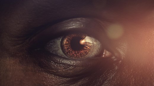 Human: Origins | Watch online at WTTW.com