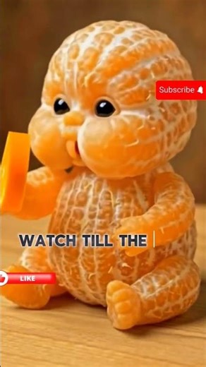 Cute Orange eat Oranges #cartoon