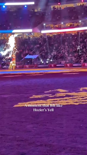 @RODEOHOUSTON 🇺🇸 #trickriding #rodeo #horse #fireoworks #rodeohouston