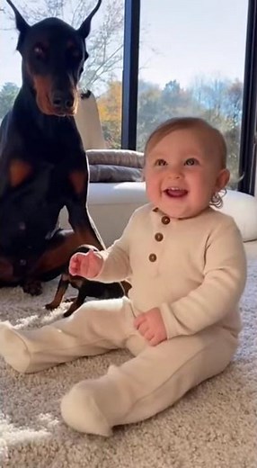 Doberman Gently Introduces Her Puppy to a Baby — Pure Magic 🐶👶
