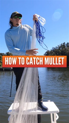 Mullet might not be the prettiest fish in the sea, but they sure are the bait MVPs. If you've ever went after these guys, you know how frustrating it can be to get them. So here's a quick guide from us on how to catch mullet. ✅ Go to RiteAngler.com and grab the premium cast net ✅ Take it and cruise along shallow flats, residential canals, or beaches - mullets love these areas ✅ Toss, troll, and repeat. Mullet aren’t always easy to catch, but persistence pays off. Let us know if you wanna see how