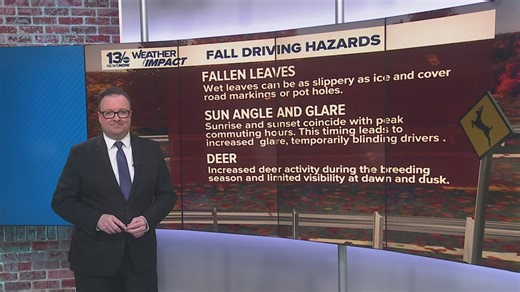 Watch for fall driving hazards including deer and wet leaves on the road
