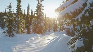 Beautiful Snow Covered Landscape Canadian Mountain Stock Footage Video (100% Royalty-free) 1067873294 | Shutterstock