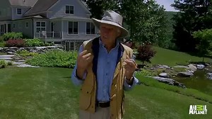 This is what Zuma’s R4 million fire pool looks like