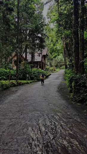 #CapCut yuk gasss kuy #liburan #akirtahun #tamansafari