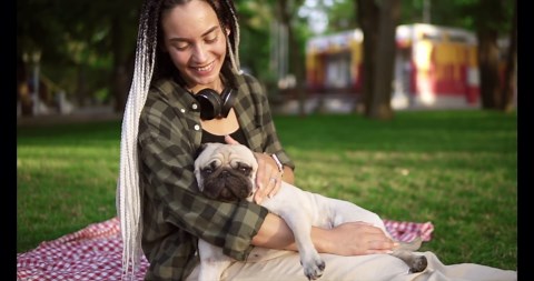 Ten most popular dog breeds in the United Kingdom