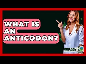 What Is An Anticodon? - Biology For Everyone
