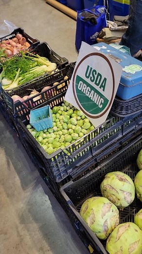 A snowy stroll to our winter farmers' market this morning! We're open today until 12pm 🩵 We have 15 valiant vendors here with a great variety of fresh produce, warm baked goods, and squeaky cheese! We urge visitors to exercise extra caution when traveling to the market today. #danecountyfarmersmarket #wisconsingoodness | Dane County Farmers' Market