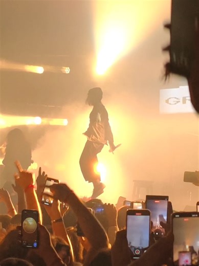 Understanding Cup Sizes and Trends in Fashion