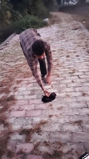 pushpa challenging video 😺