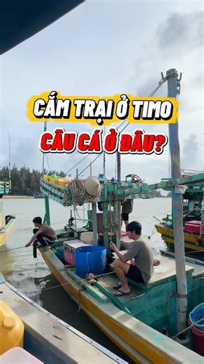Đi cắm trại ở Timo thì câu cá ở đâu? #camtrai #timocamping #camping #phuochai #langchaiphuochai