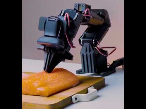 ElRobot: an open source project from NormaCore